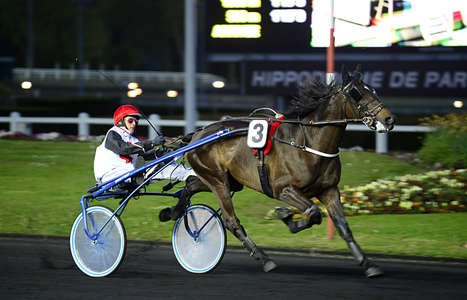 Actualités Hippiques